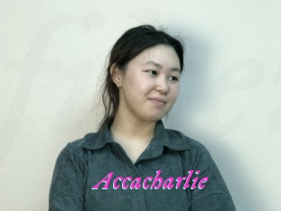 Accacharlie