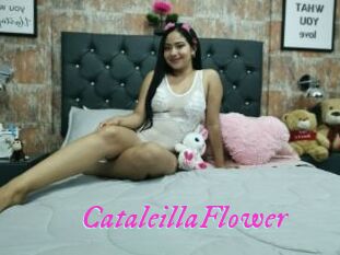 CataleillaFlower