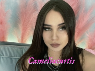 Cameliacurtis