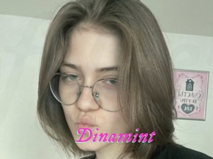 Dinamint