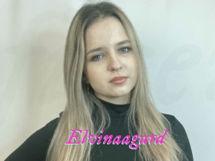 Elvinaagard