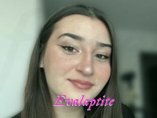 Evalaptite