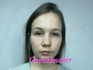 Gaynabucher