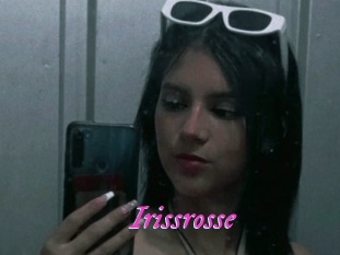 Irissrosse