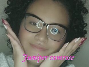 Juniper_camrose