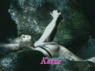 Katze