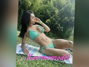 Karimemodel