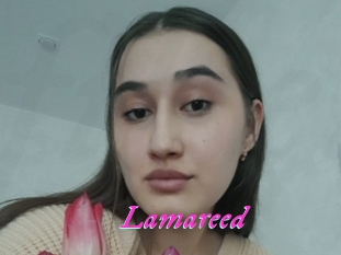 Lamareed