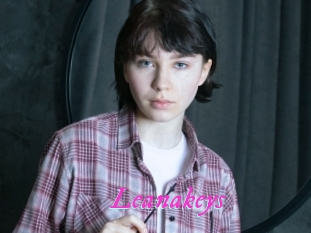 Leanakeys