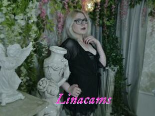 Linacams