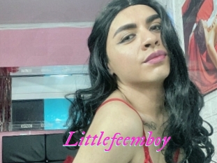 Littlefeemboy