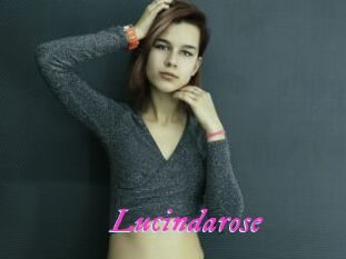 Lucindarose