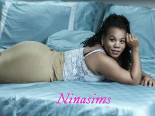 Ninasims