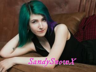 SandySnowX