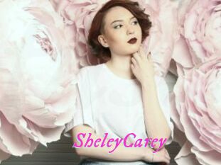 SheleyCarey