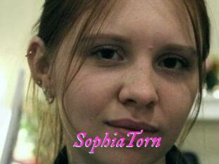 SophiaTorn