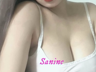 Sanine