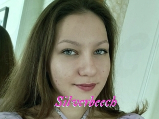 Silverbeech