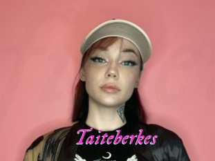 Taiteberkes
