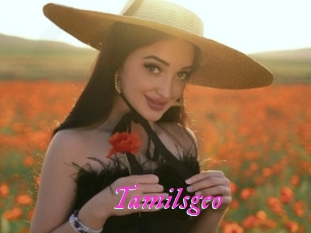 Tamilsgeo