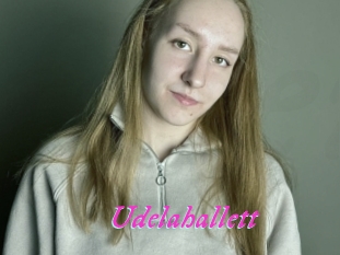 Udelahallett
