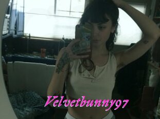 Velvetbunny97