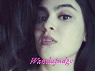 Wandafudge