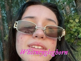 Whitneygleghorn