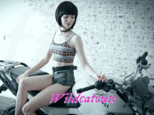 Wildcatcute